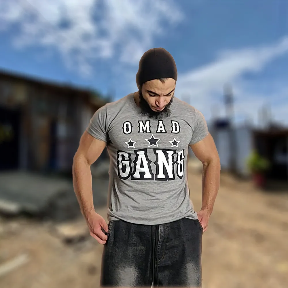 T-shirt Honda, coloris gris